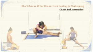 Short Course #1 for Knees: from Healing to Challenging (Short Course; level: Intermediate)