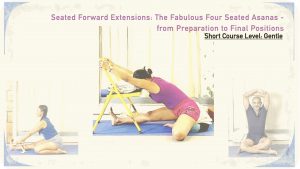 The Fabulous Five Seated Forward Extensions: from Preparation to Final Positions (Short Course; level: Gentle)