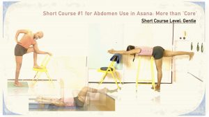 Short Course #1 for Abdomen Use in Asana: More than 'the Core' (Level Gentle) Incl. FREE Session on Breath Experience in the Abdomen
