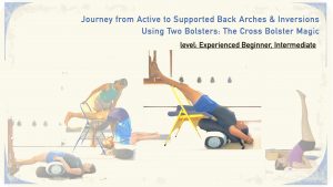 Journey from Active to Supported Back Arches & Inversions Using Two Bolsters: The Cross Bolster Magic (Short Course; level: Intermediate)