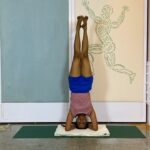 10aug_inter_cl3_backextn_2020_10