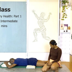 Respiratory Health, Part1: the Principles, Basic Prone Positions
