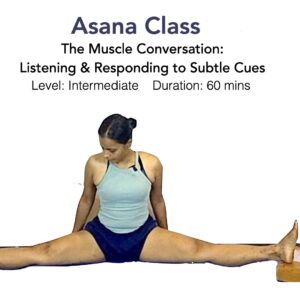 The Muscle Conversation: Listening and Responding to Subtle Cues