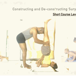 Constructing and De-constructing Surya Namaskara (Short Course, Level Intermediate)