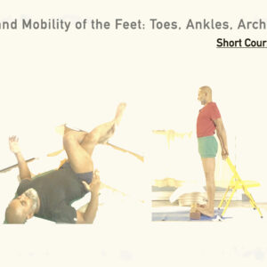 Stability and Mobility of the Feet: Toes, Ankles, Arches and More (Short Course, Level: Gentle)