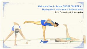 Short Course #2 for Abdomen: Moving the Limbs from a Stable Centre (Short Course; Level: Intermediate)