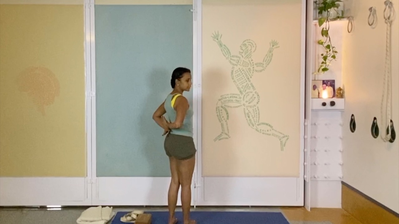 Preparing Arms and Shoulders for Inversions: Firming and Squeezing Actions at the Beginner Level - Image 4