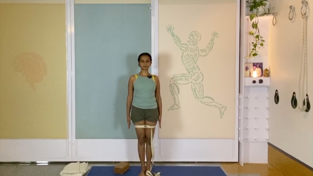 Preparing Arms and Shoulders for Inversions: Firming and Squeezing Actions at the Beginner Level - Image 6