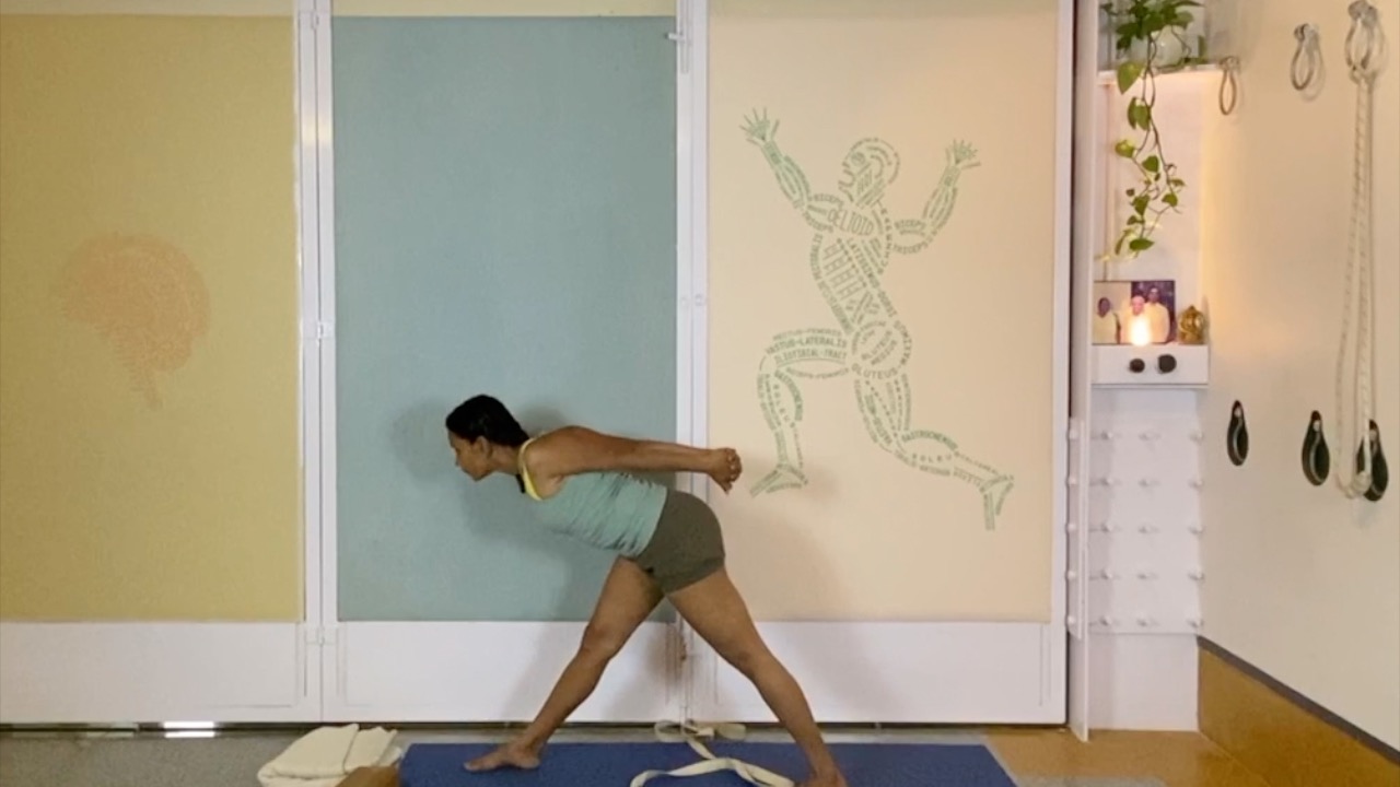 Preparing Arms and Shoulders for Inversions: Firming and Squeezing Actions at the Beginner Level - Image 7