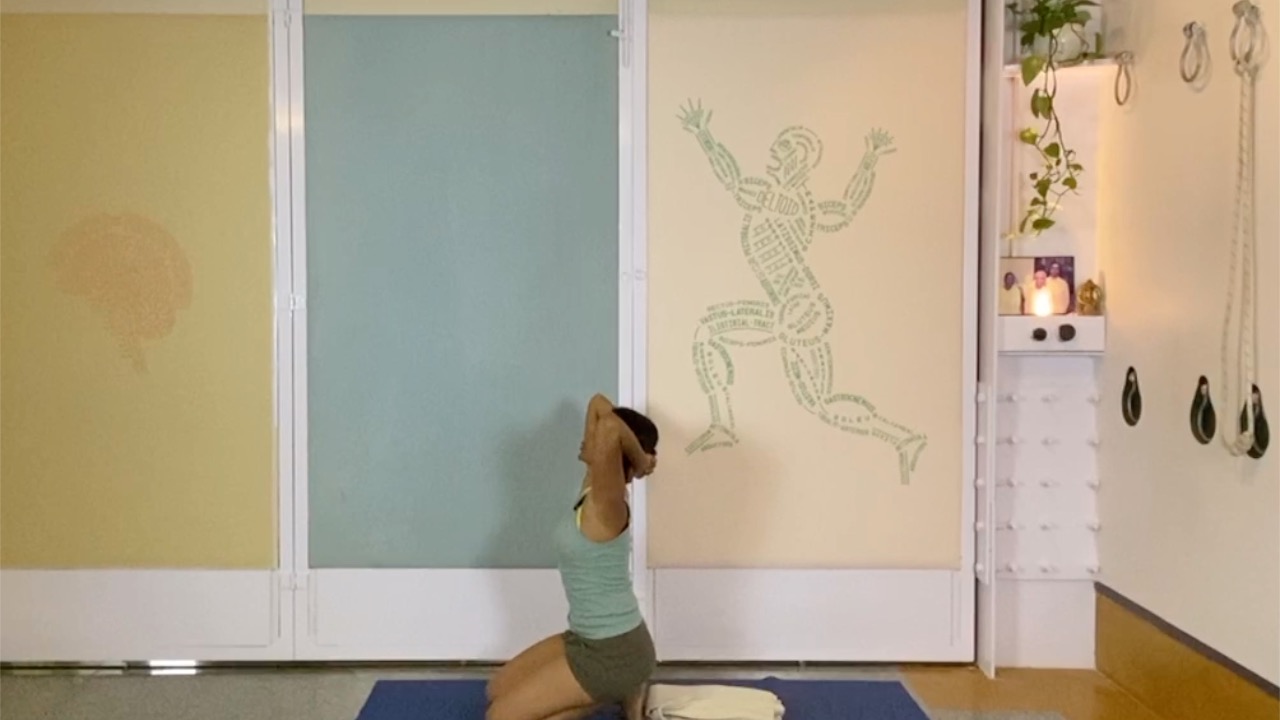 Preparing Arms and Shoulders for Inversions: Firming and Squeezing Actions at the Beginner Level - Image 9