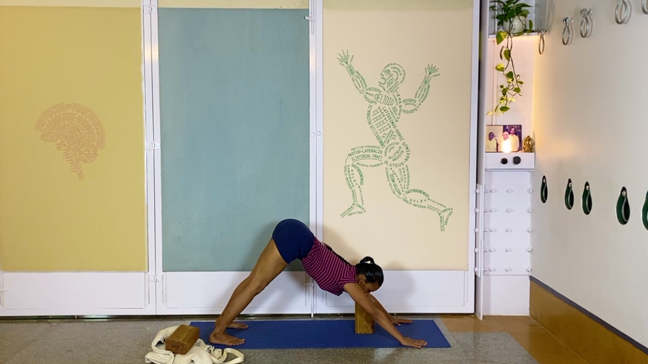 Fresh Look at Standing Asanas as Preparation for Back Arches - Image 4