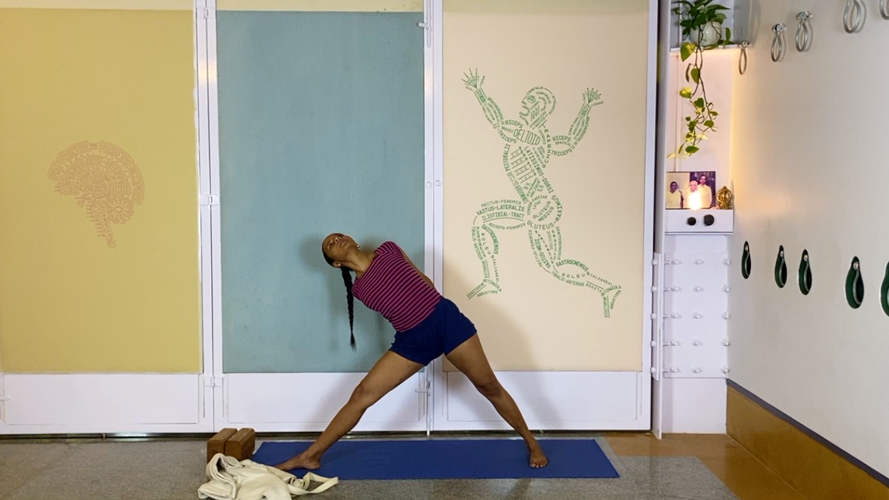 Fresh Look at Standing Asanas as Preparation for Back Arches - Image 9