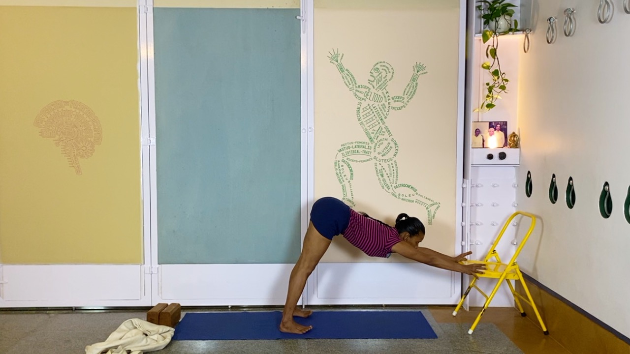 Fresh Look at Standing Asanas as Preparation for Back Arches - Image 10