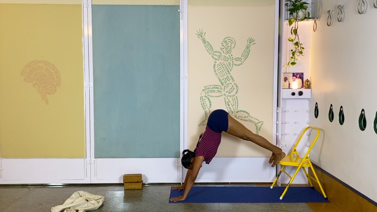 Fresh Look at Standing Asanas as Preparation for Back Arches - Image 11