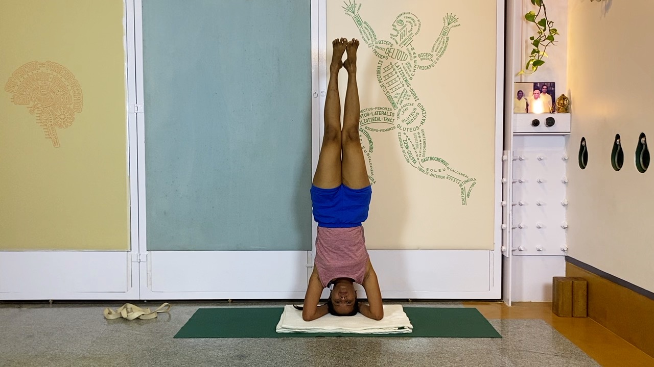 Overview of Back Arches - Image 11