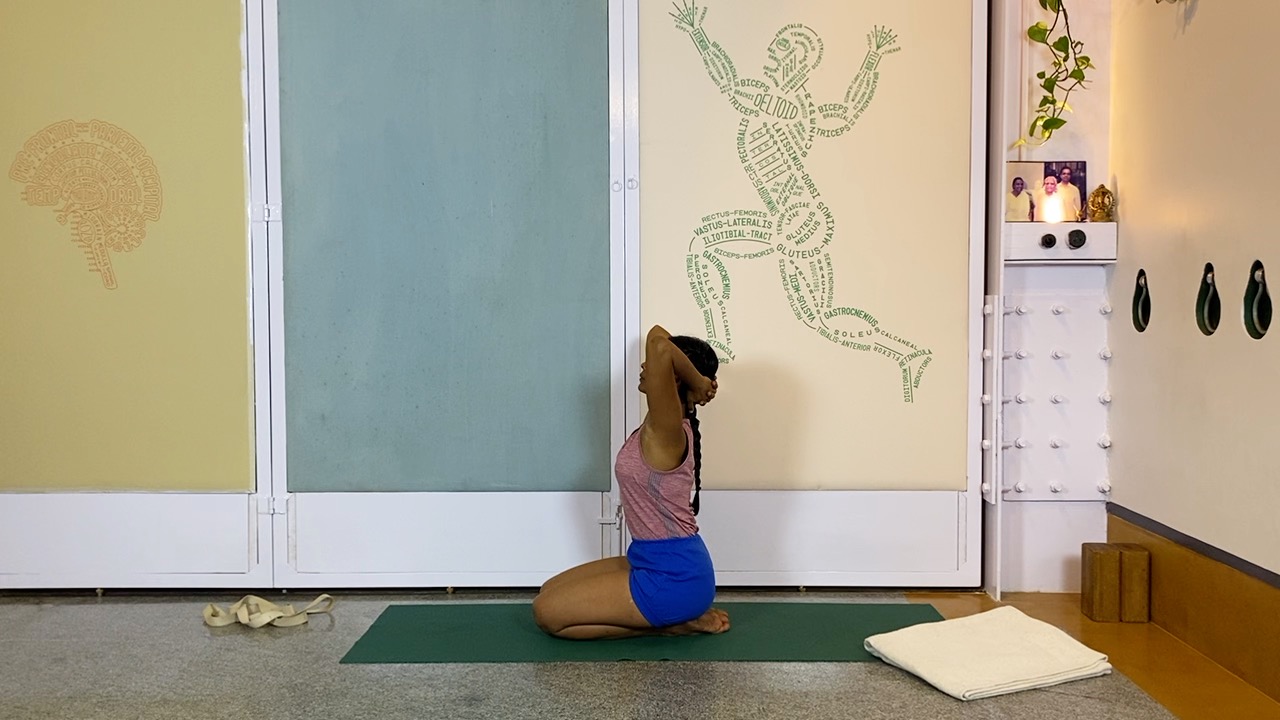 Overview of Back Arches - Image 12