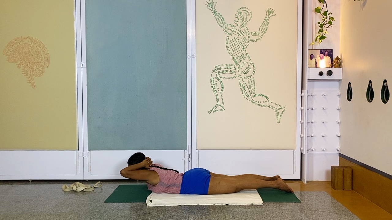 Overview of Back Arches - Image 13