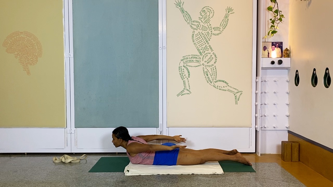 Overview of Back Arches - Image 14