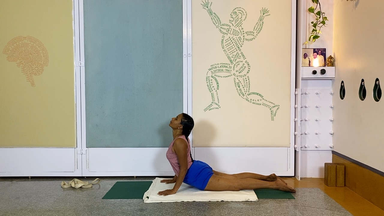 Overview of Back Arches - Image 15