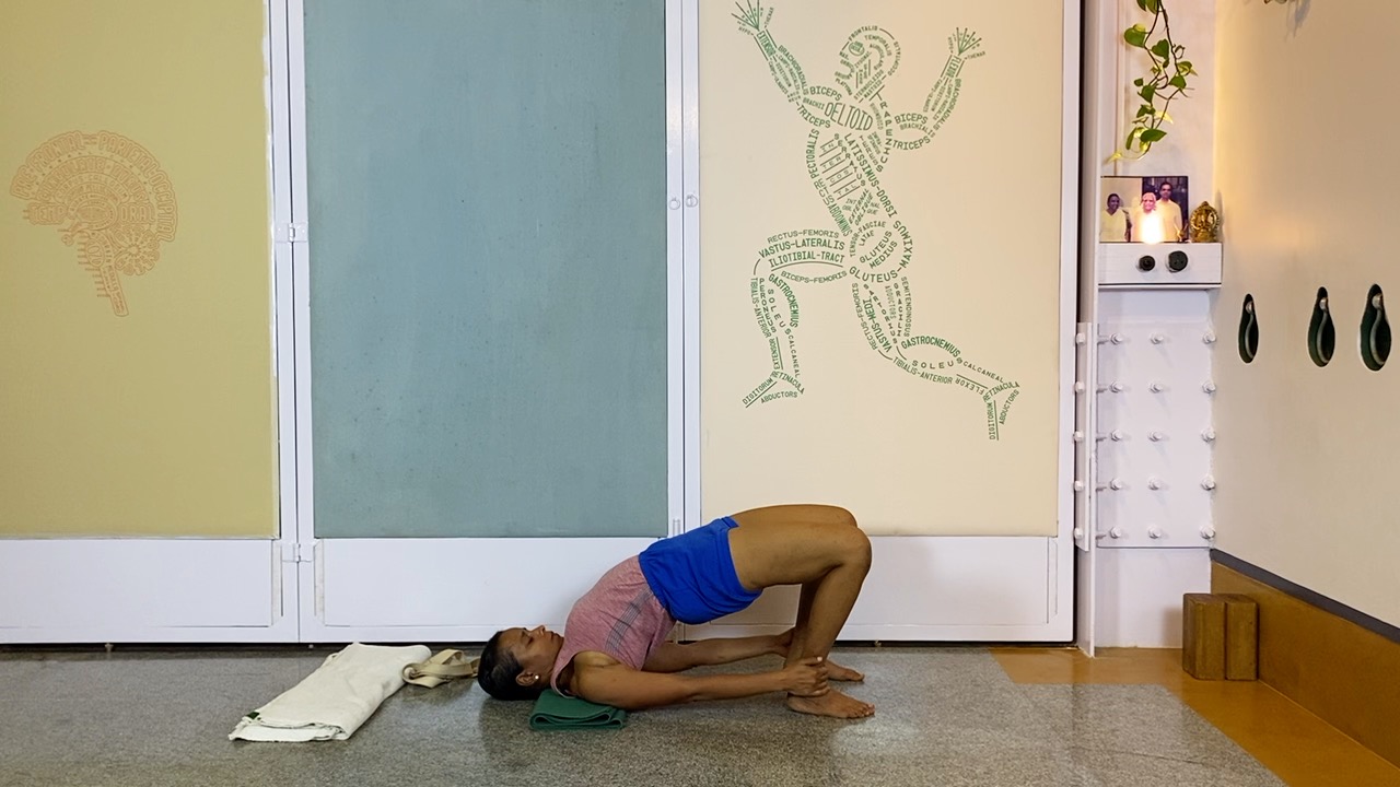 Overview of Back Arches - Image 16