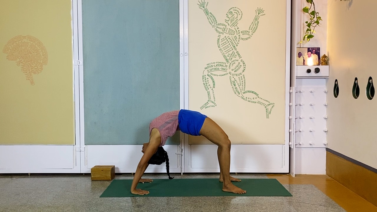 Overview of Back Arches - Image 18