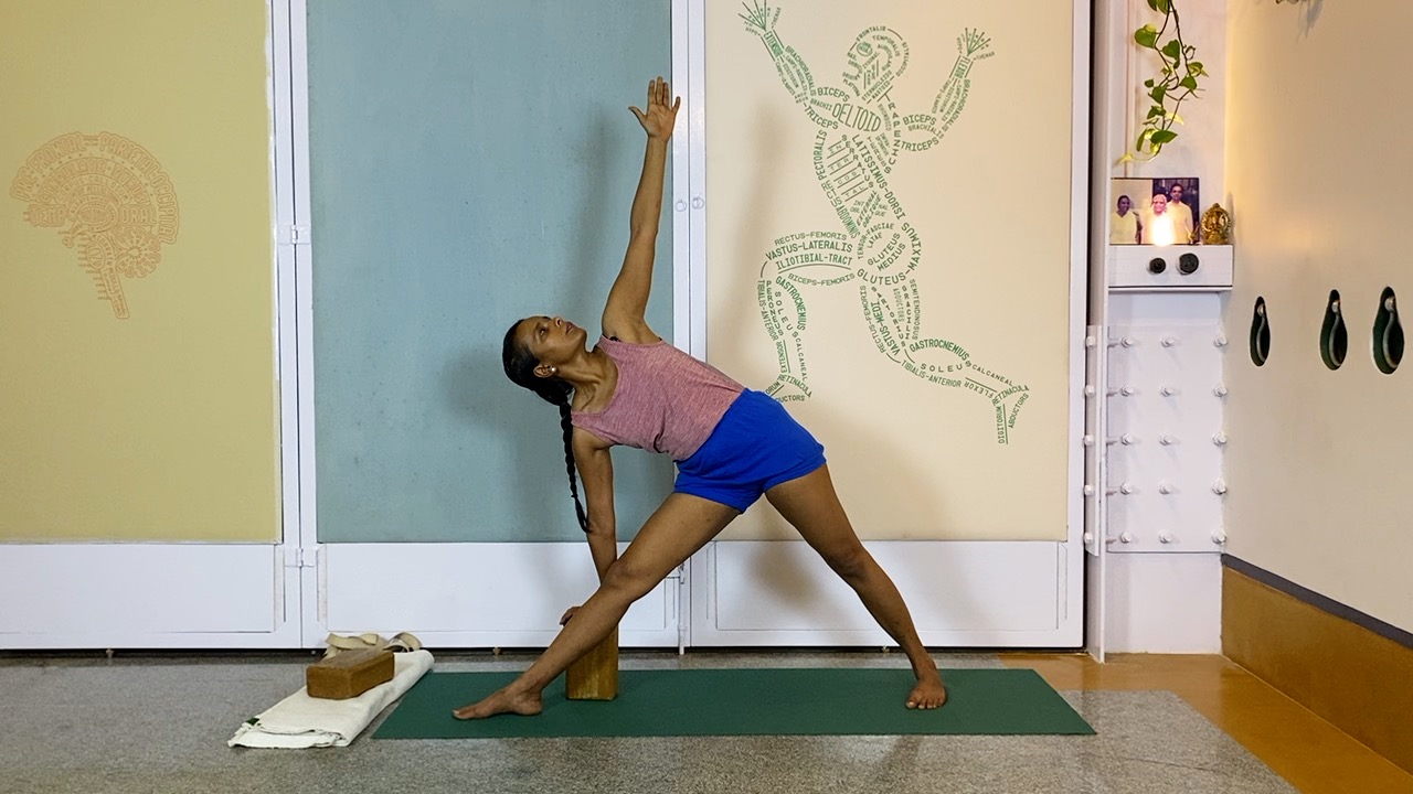 Overview of Back Arches - Image 19