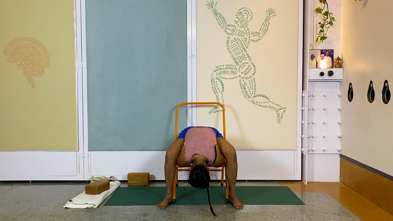 Overview of Back Arches - Image 20