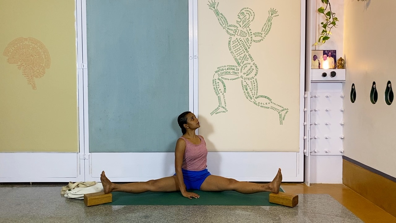 Overview of Back Arches - Image 4