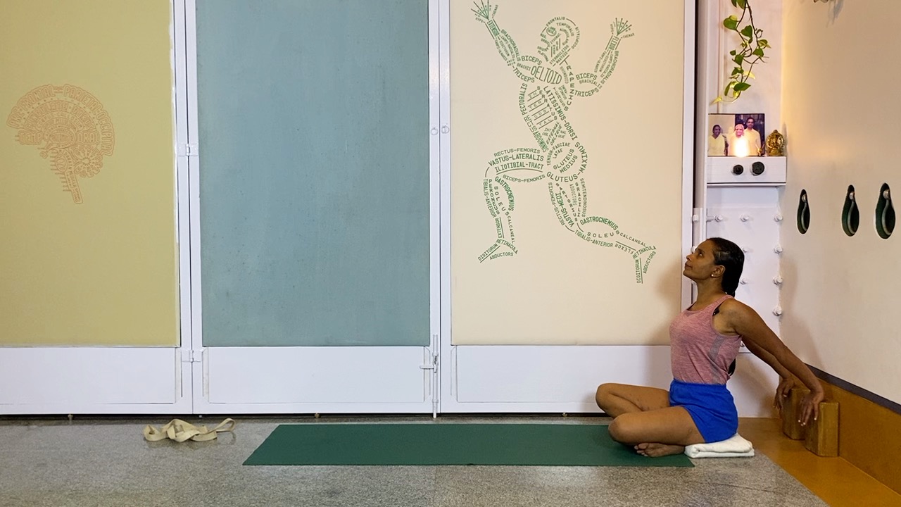 Overview of Back Arches - Image 5