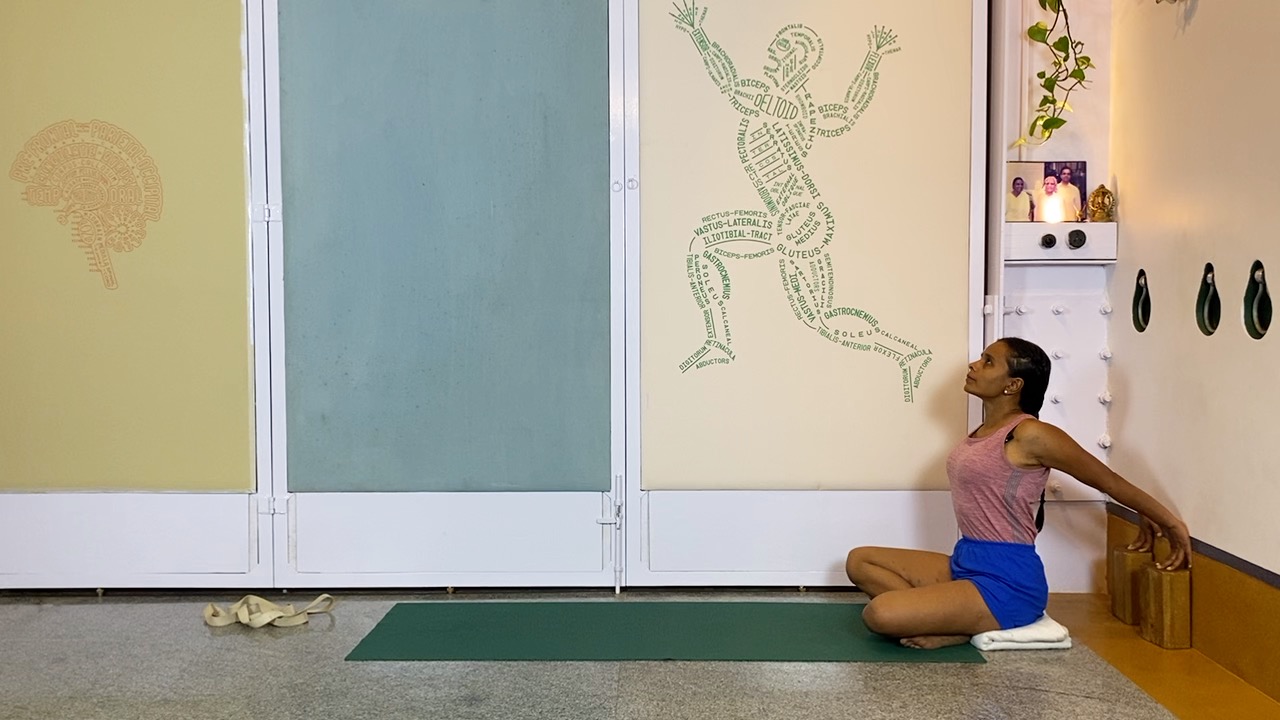 Overview of Back Arches - Image 6