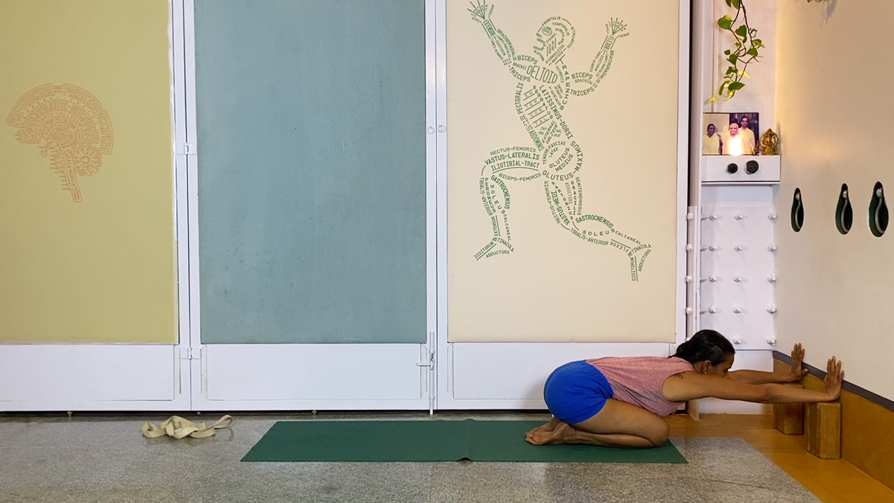 Overview of Back Arches - Image 7