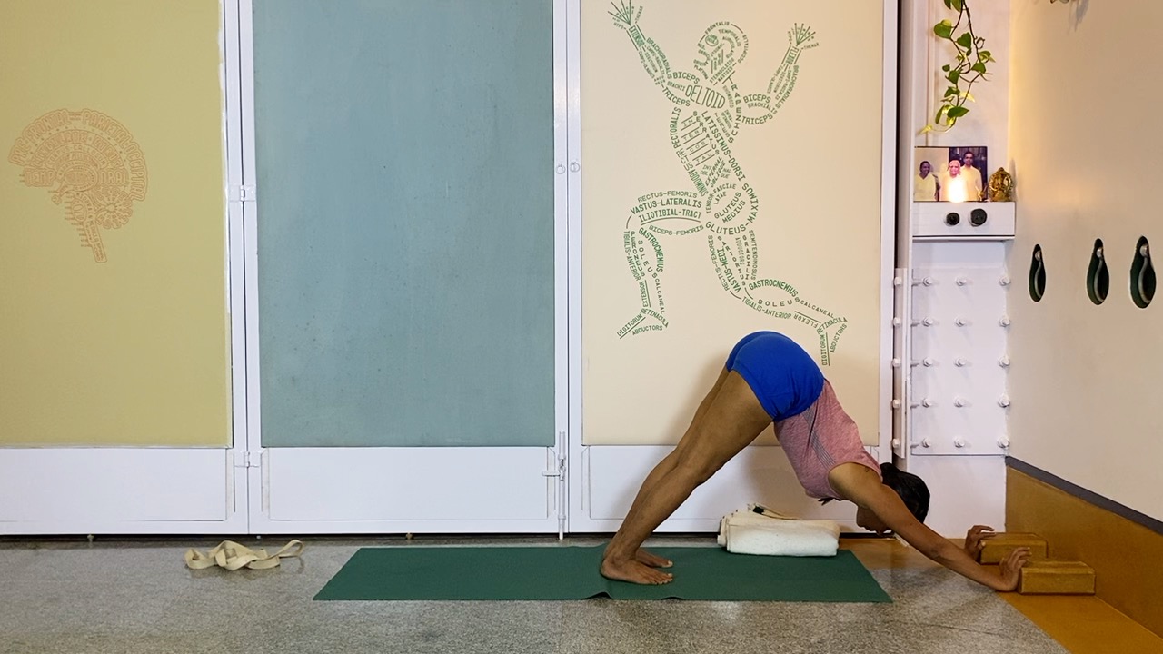 Overview of Back Arches - Image 8