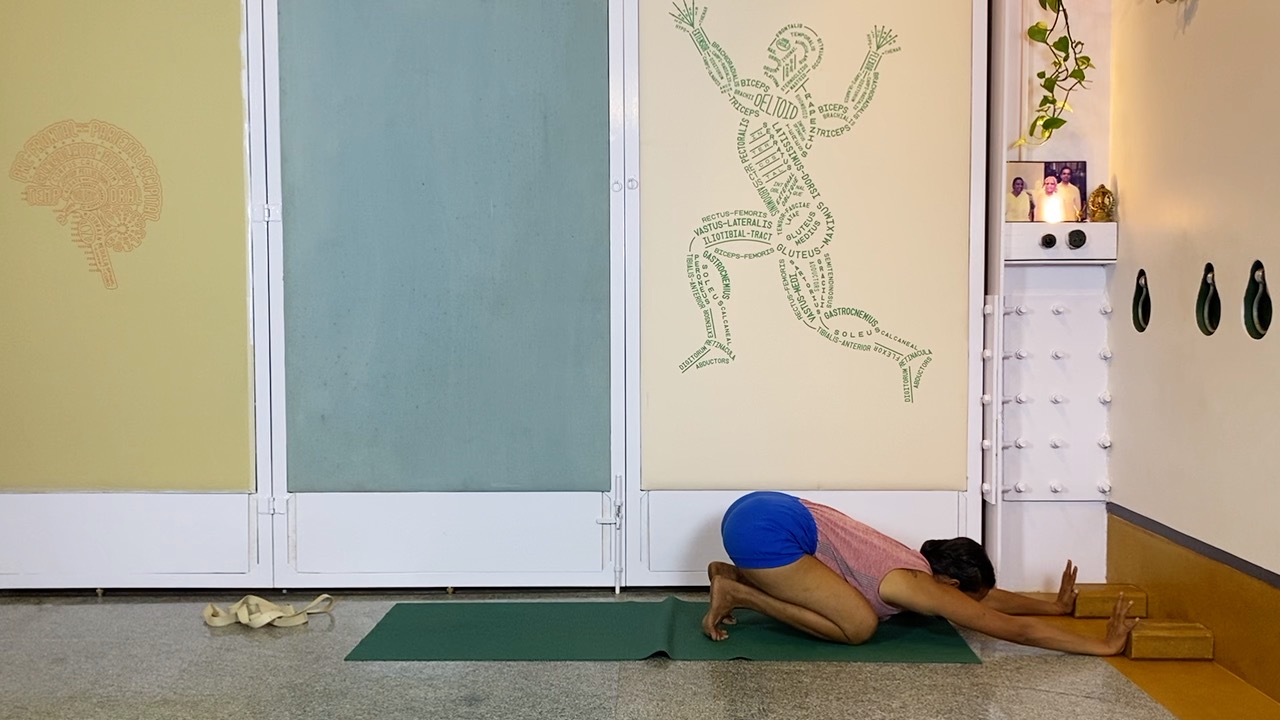 Overview of Back Arches - Image 9