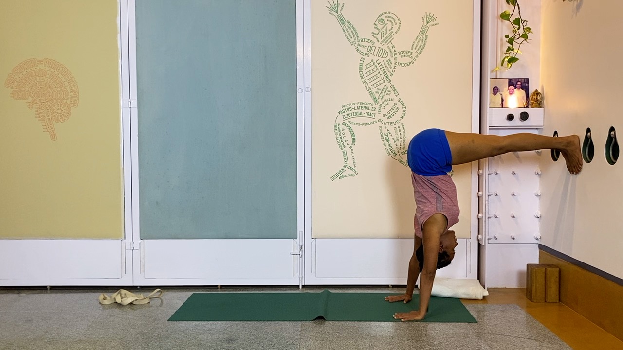 Overview of Back Arches - Image 10