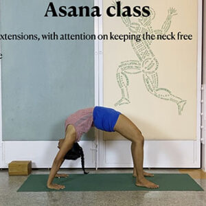 Overview of Back Arches