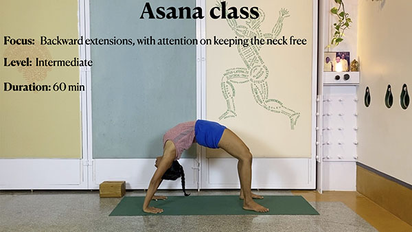 Overview of Back Arches