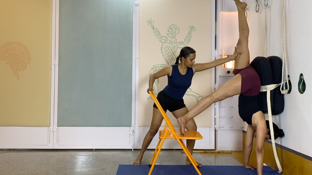 Handstand/ Full Arm balance/ Adho mukha vrksasana: Arms, Shoulders, and Wrists - Image 13