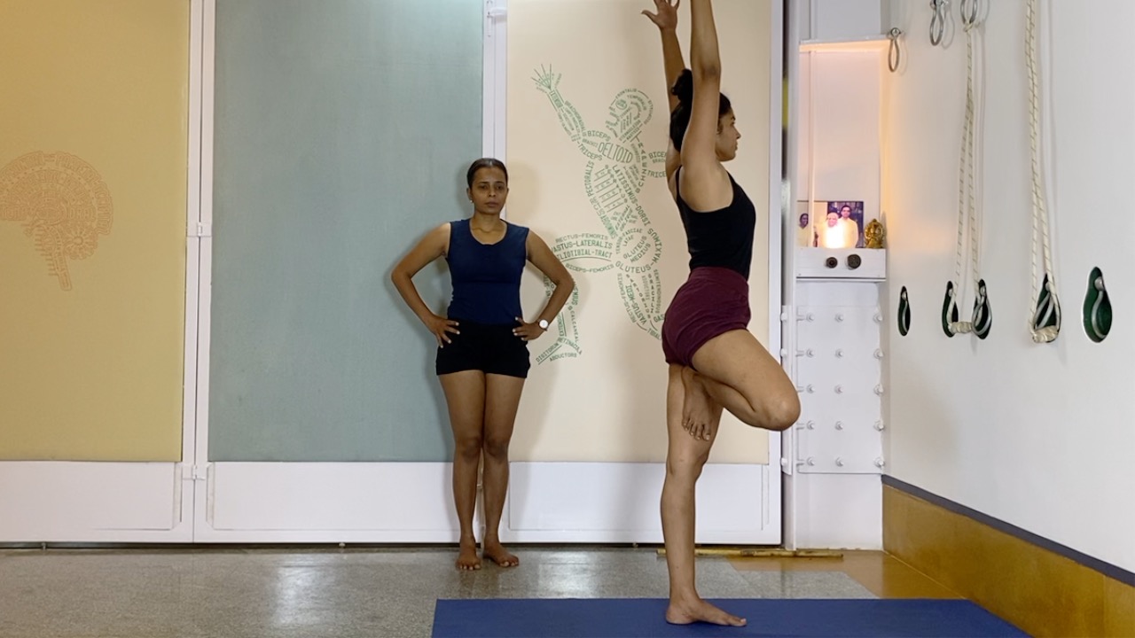 Handstand/ Full Arm balance/ Adho mukha vrksasana: Arms, Shoulders, and Wrists - Image 14