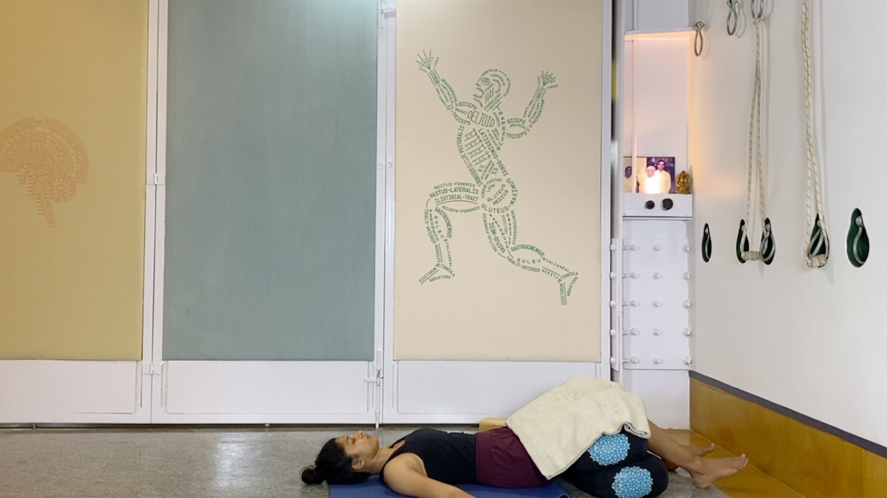 Handstand/ Full Arm balance/ Adho mukha vrksasana: Arms, Shoulders, and Wrists - Image 17