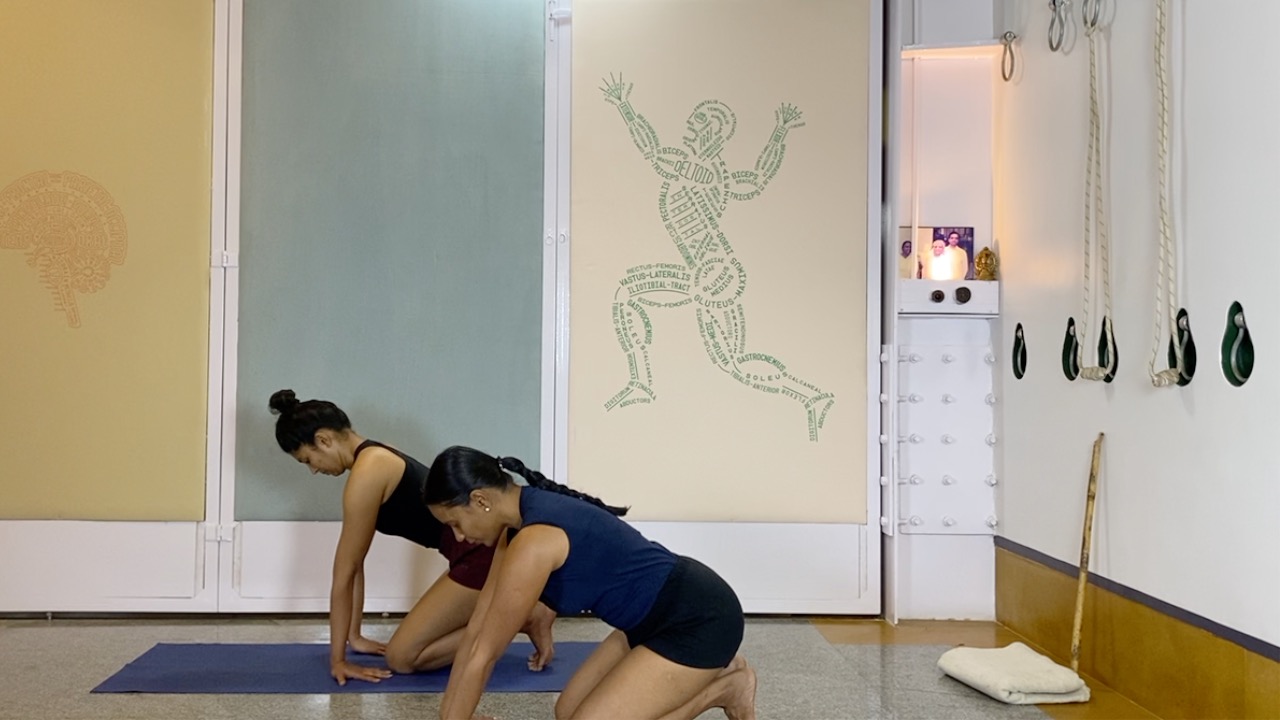 Handstand/ Full Arm balance/ Adho mukha vrksasana: Arms, Shoulders, and Wrists - Image 4