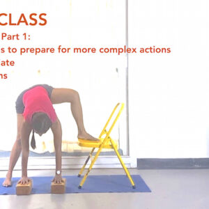 Bringing Movement to the Groins: Preparation for more Complex Actions