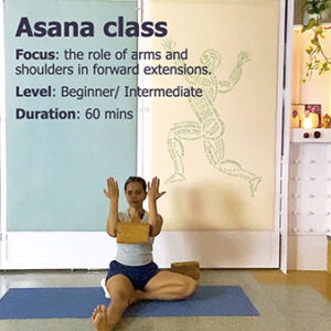 Control and Precision in Shoulders and Shoulder Blades: Refining Forward Extensions (Virabhadrasana3)