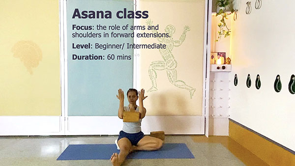 Control and Precision in Shoulders and Shoulder Blades: Refining Forward Extensions (Virabhadrasana3)