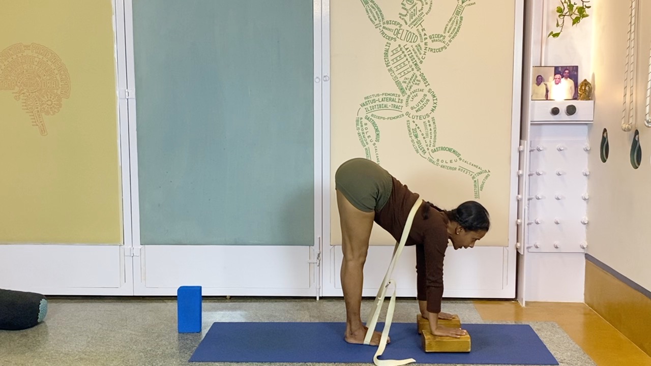 Active Preparation Culminating in Quiet Forward Extensions: Audio Video Hybrid Session - Image 4