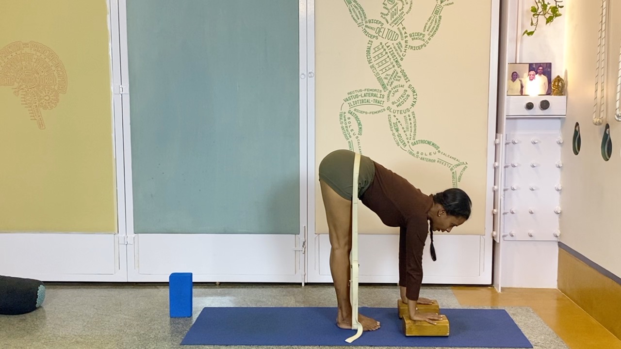 Active Preparation Culminating in Quiet Forward Extensions: Audio Video Hybrid Session - Image 5