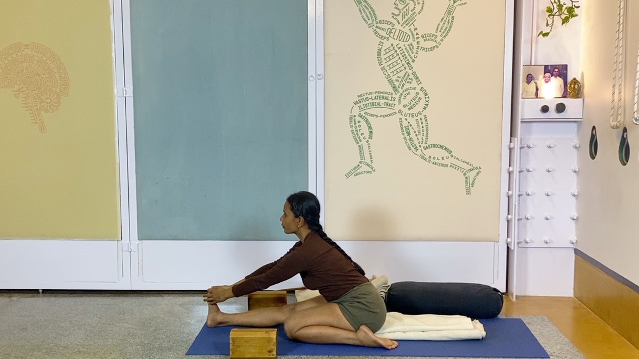 Active Preparation Culminating in Quiet Forward Extensions: Audio Video Hybrid Session - Image 8