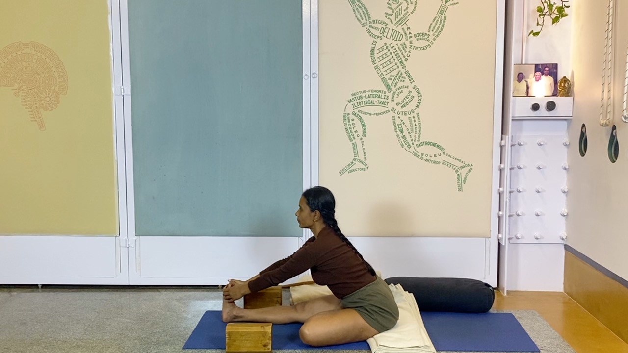 Active Preparation Culminating in Quiet Forward Extensions: Audio Video Hybrid Session - Image 9