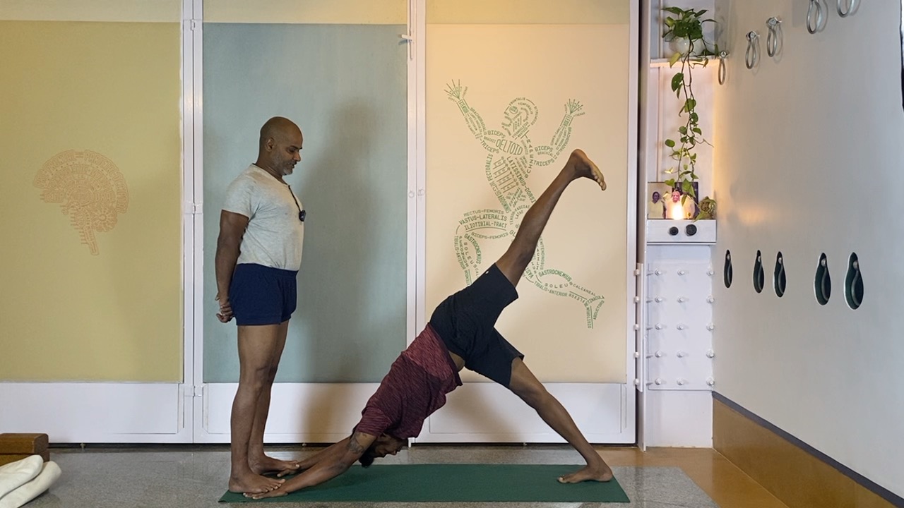 Beginners' Back Arches Practice Part 3: Urdhvamukhasvanasana, Chatuspadasana, Purvottanasana - Image 2