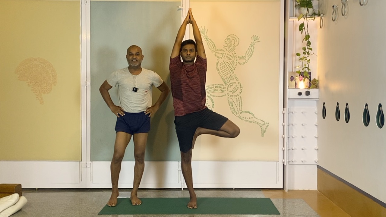 Beginners' Back Arches Practice Part 3: Urdhvamukhasvanasana, Chatuspadasana, Purvottanasana - Image 3