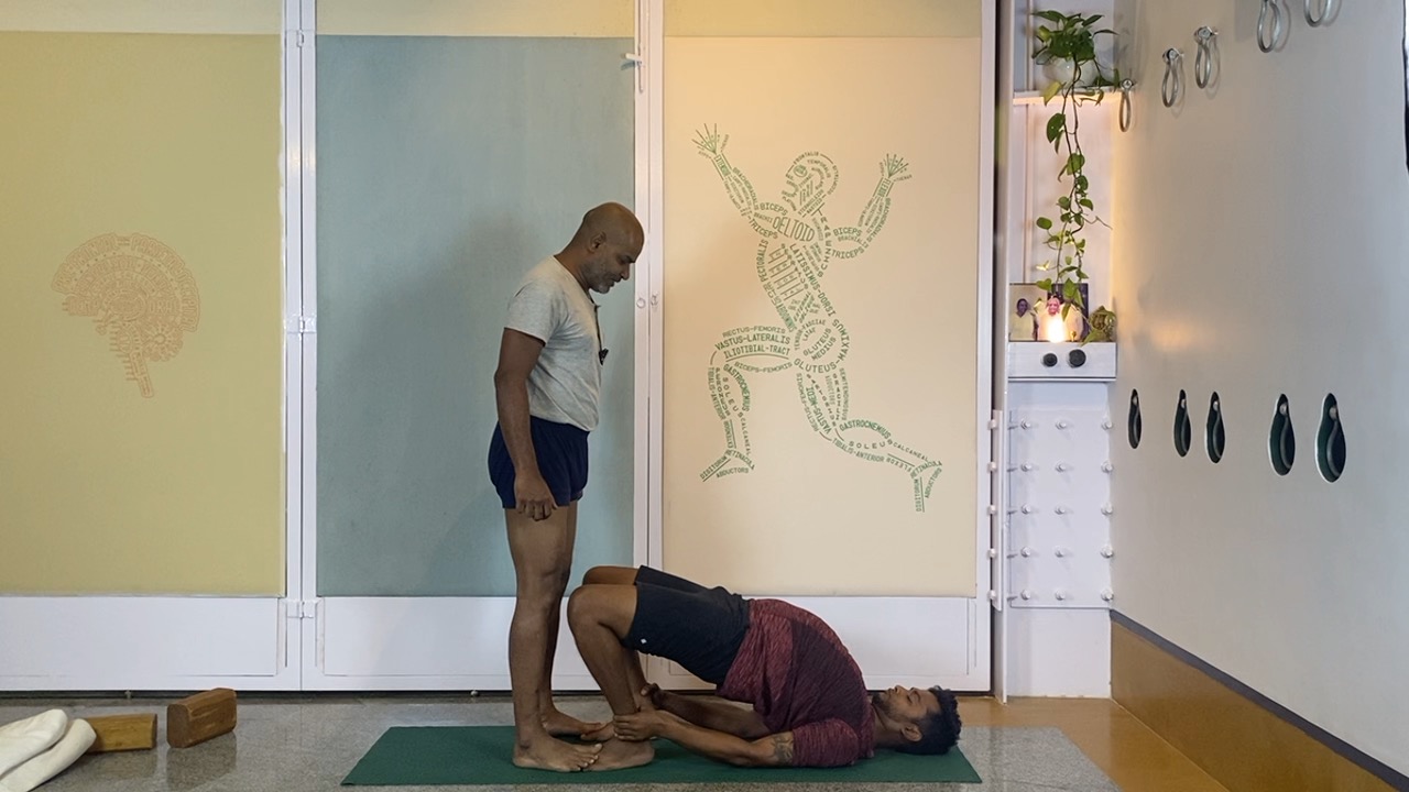 Beginners' Back Arches Practice Part 3: Urdhvamukhasvanasana, Chatuspadasana, Purvottanasana - Image 6